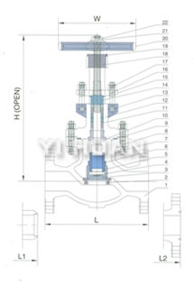 Cast steel globe valve product construction-3