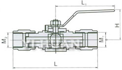 QG·M1 pressure gauge ball valve diagram