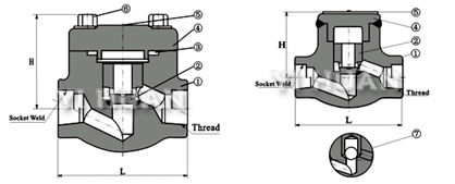 Bolt type piston check valve brief figure of structure