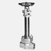 Please click the right side title:Cryogenic Globe Valve