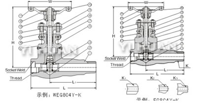 Extended body gate valve brief figure of structure