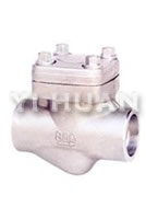 Pressure-Seal Piston Check Valve