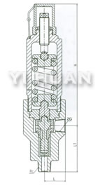 Safety overflow valve brief figure of structure-2