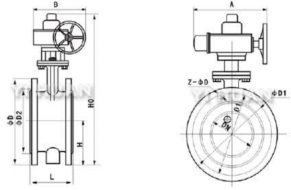D942X軟密封電動法蘭蝶閥結(jié)構(gòu)圖