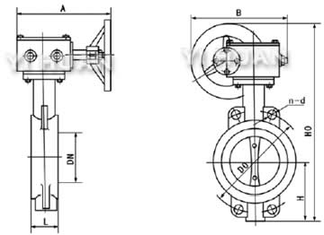 D371X蝸輪軟密封對夾蝶閥結(jié)構(gòu)圖