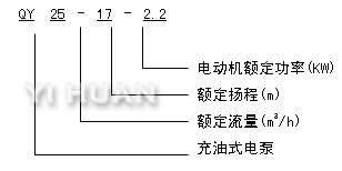 潛水電泵　型號(hào)意義