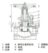 U11SM-16/25/40C/P內螺紋柱塞閥結構圖